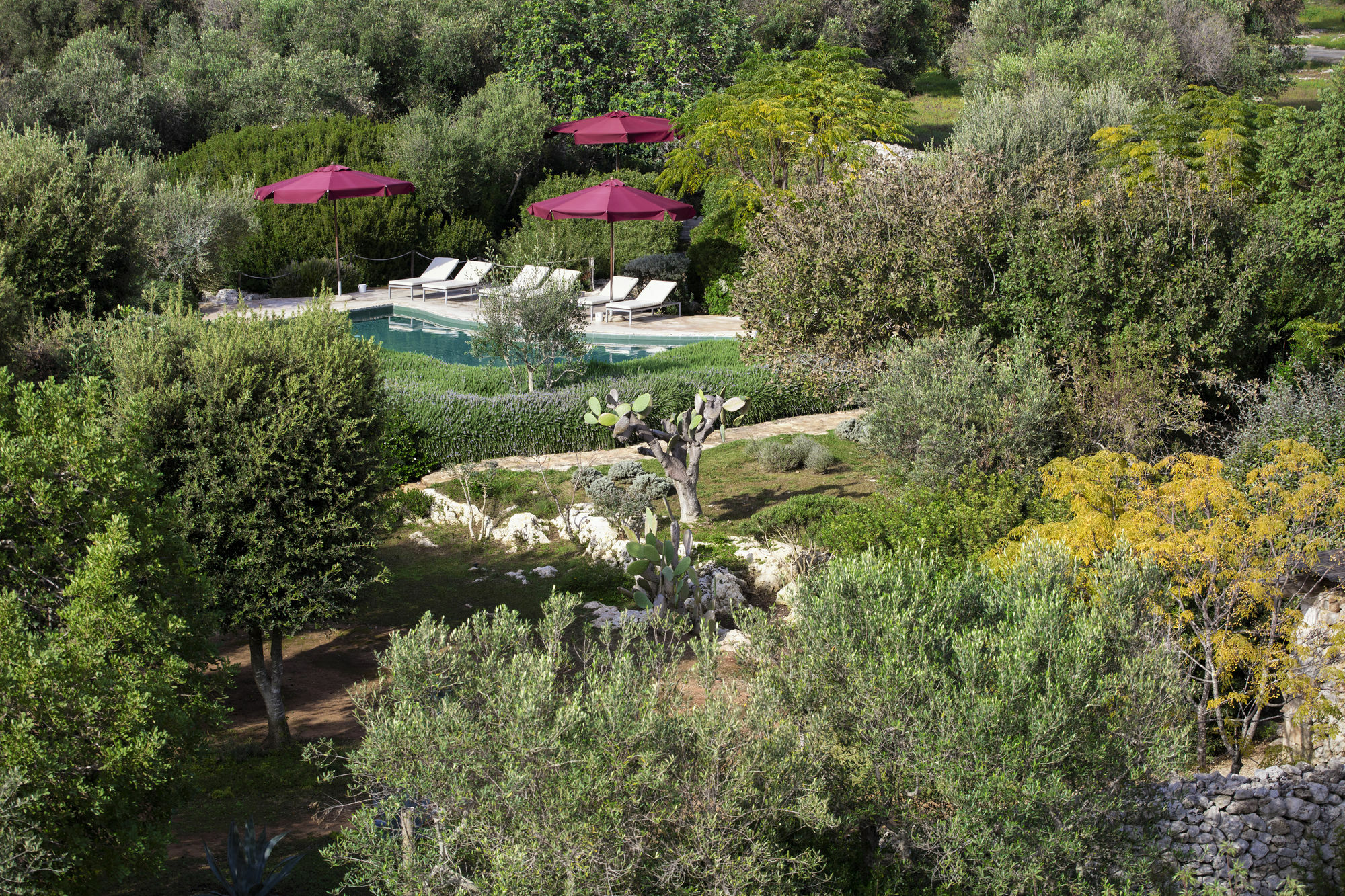 Masseria Don Cirillo Ugento Exteriér fotografie
